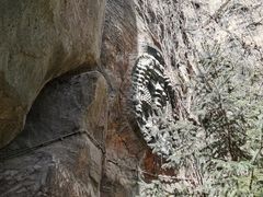 -成吉思汗公园