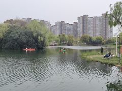 -新江湾城公园