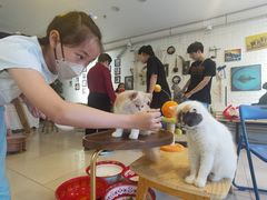 -平行世界·猫咖(首经贸店)