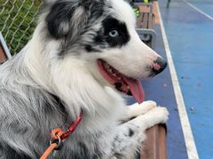 -万达广场(无锡滨湖店)