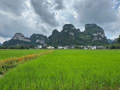 -明仕田园