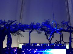 -白洋淀景区