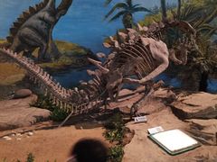 -自贡恐龙博物馆