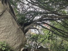 -草庵摩尼教遗址公园