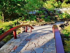 -深圳仙湖植物园-停车场
