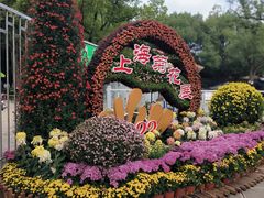 -上海共青森林公园