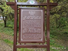 -首阳山景区