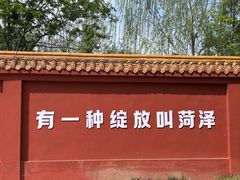 -曹州牡丹园