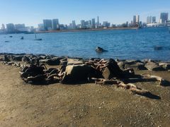 -台场海滨公园船码头