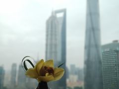 -翡翠36餐厅(浦东香格里拉店)