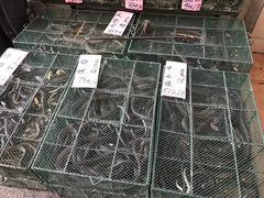 -荔城生鲜盛宴(番禺旗舰店)