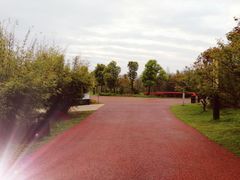 -盘龙城国家考古遗址公园