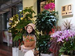 -溪岸路花鸟市场