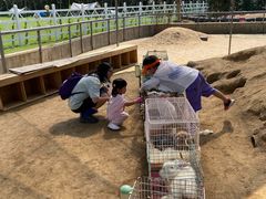 -前小桔亲子创意农场·草莓采摘·露营烧烤