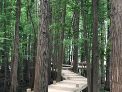 -东湖落雁景区