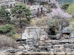 -北京西山国家森林公园