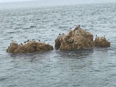 -长岛南北长山旅游景区