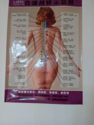 -余祖萍专业经络瘦身