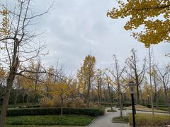 -黄兴公园
