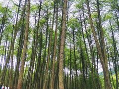 -硗碛藏寨·神木垒景区