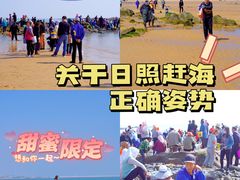 -刘家湾赶海园