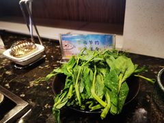 -重庆九记老火锅(广场店)