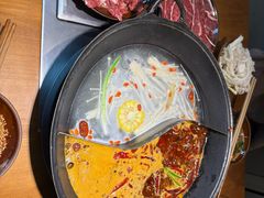 -阳阳老火锅(小南门店)