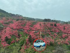 -木兰云雾山
