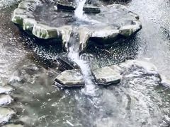 -成都市活水公园