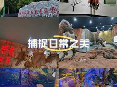 -西峡恐龙遗迹园