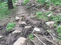-芦芽山旅游度假区