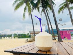 -禧月荟S月子中心(侨城店)