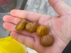 -粒上皇(五一广场店)