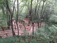 -大岭沟猕猴桃谷风景区