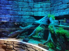 -沈阳海洋探索中心