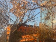 -山东艺术学院(长清校区)