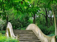 -绵阳人民公园(涪城区)