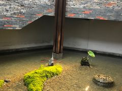 -几荷·恰似故人来(秀水广场店)