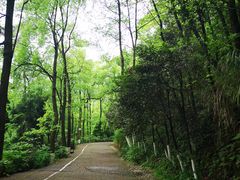 -重庆抗战遗址博物馆