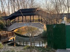 -合肥滨湖国家森林公园