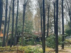 -林间山庄