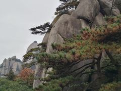 -天柱山风景区