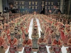 -陕西自然博物馆