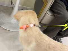 -天宠宠物医院24小时·急重症诊疗中心·全科·腔镜特色(和平分院)