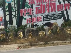 -泉州海丝野生动物世界