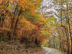 -五女峰国家森林公园