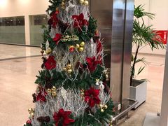 -班达拉奈克国际机场