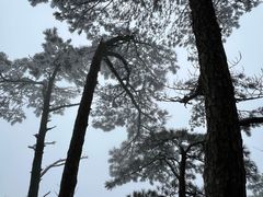 -萍乡武功山风景名胜区