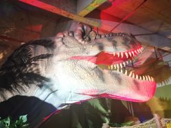 -恐龙探索乐园(磁器口店)