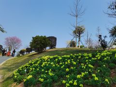 -东莞植物园